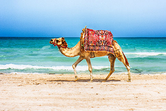 Tunisie
