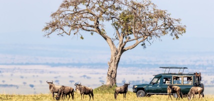 Ôcombiné - Diani Reef Beach 4* & Safari 2 nuits dans le parc de Tsavo, Séjour Kenya par Ôvoyages Ôcombiné - Diani Reef Beach 4* & Safari 2 nuits dans le parc de Tsavo, Séjour Kenya par Ôvoyages