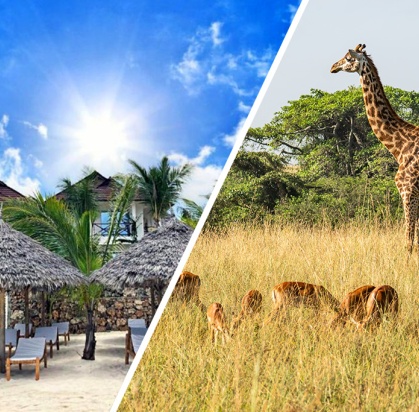 Ôclub Zen Sansi Kendwa Beach Resort 4* + Safari 1 nuit en avion, Combiné Tanzanie, Zanzibar par Ôvoyages Ôclub Zen Sansi Kendwa Beach Resort 4* + Safari 1 nuit en avion, Combiné Tanzanie, Zanzibar par Ôvoyages
