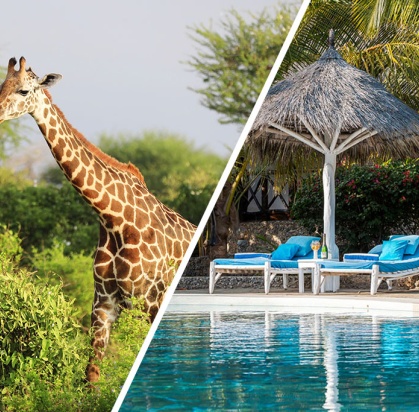 Hôtel Exploreans Malaika Villas & Beach Club 3* by Ôvoyages + Safari 2 Nuits dans le Parc National de Tsavo Est, Combiné Kenya par Ôvoyages Hôtel Exploreans Malaika Villas & Beach Club 3* by Ôvoyages + Safari 2 Nuits dans le Parc National de Tsavo Est, Combiné Kenya par Ôvoyages