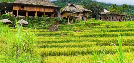 Ôcircuit Essentiel - Paysages majestueux Nord-Sud & plage 4/5*, Circuit Vietnam par Ôvoyages Ôcircuit Essentiel - Paysages majestueux Nord-Sud & plage 4/5*, Circuit Vietnam par Ôvoyages
