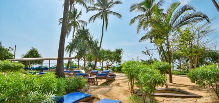 Hôtel Kena Beach 4* Sup by Ôvoyages + Safari 1 nuit, Séjour Tanzanie, Zanzibar par Ôvoyages Hôtel Kena Beach 4* Sup by Ôvoyages + Safari 1 nuit, Séjour Tanzanie, Zanzibar par Ôvoyages